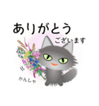 色々な猫5-3 長毛-立ち耳-グレー（個別スタンプ：31）