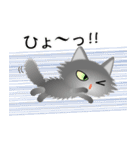 色々な猫5-3 長毛-立ち耳-グレー（個別スタンプ：34）