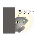 色々な猫5-4 長毛-垂れ耳-グレー（個別スタンプ：6）