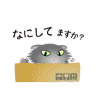 色々な猫5-4 長毛-垂れ耳-グレー（個別スタンプ：8）