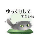色々な猫5-4 長毛-垂れ耳-グレー（個別スタンプ：12）