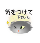 色々な猫5-4 長毛-垂れ耳-グレー（個別スタンプ：14）