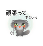 色々な猫5-4 長毛-垂れ耳-グレー（個別スタンプ：16）