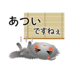 色々な猫5-4 長毛-垂れ耳-グレー（個別スタンプ：21）