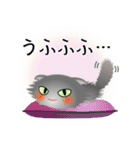 色々な猫5-4 長毛-垂れ耳-グレー（個別スタンプ：25）