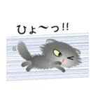 色々な猫5-4 長毛-垂れ耳-グレー（個別スタンプ：34）