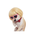 金色のボブヘアのチワワ (NT)（個別スタンプ：17）