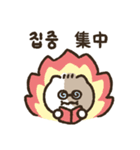 ラッキーキャットキキ3(韓国語＆日本語)（個別スタンプ：8）