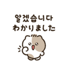 ラッキーキャットキキ3(韓国語＆日本語)（個別スタンプ：10）