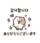 ラッキーキャットキキ3(韓国語＆日本語)（個別スタンプ：11）