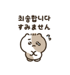 ラッキーキャットキキ3(韓国語＆日本語)（個別スタンプ：12）