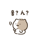 ラッキーキャットキキ3(韓国語＆日本語)（個別スタンプ：21）