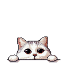 無言で伝える太っちょキジシロ猫（個別スタンプ：3）