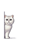 無言で伝える太っちょキジシロ猫（個別スタンプ：4）