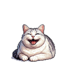 無言で伝える太っちょキジシロ猫（個別スタンプ：5）