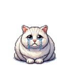 無言で伝える太っちょキジシロ猫（個別スタンプ：7）