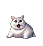 無言で伝える太っちょキジシロ猫（個別スタンプ：9）