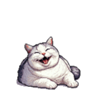 無言で伝える太っちょキジシロ猫（個別スタンプ：12）