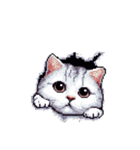 無言で伝える太っちょキジシロ猫（個別スタンプ：13）