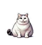無言で伝える太っちょキジシロ猫（個別スタンプ：17）