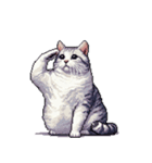 無言で伝える太っちょキジシロ猫（個別スタンプ：19）