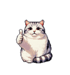 無言で伝える太っちょキジシロ猫（個別スタンプ：20）