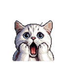 無言で伝える太っちょキジシロ猫（個別スタンプ：21）