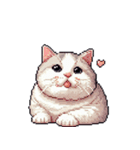 無言で伝える太っちょキジシロ猫（個別スタンプ：22）
