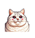 無言で伝える太っちょキジシロ猫（個別スタンプ：24）