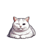 無言で伝える太っちょキジシロ猫（個別スタンプ：26）