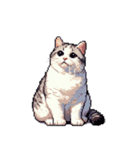 無言で伝える太っちょキジシロ猫（個別スタンプ：27）