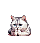無言で伝える太っちょキジシロ猫（個別スタンプ：28）