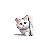 無言で伝える太っちょキジシロ猫（個別スタンプ：30）