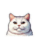 無言で伝える太っちょキジシロ猫（個別スタンプ：31）