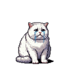 無言で伝える太っちょキジシロ猫（個別スタンプ：33）