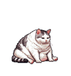 無言で伝える太っちょキジシロ猫（個別スタンプ：34）