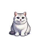 無言で伝える太っちょキジシロ猫（個別スタンプ：36）