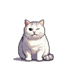 無言で伝える太っちょキジシロ猫（個別スタンプ：39）