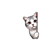 無言で伝える太っちょキジシロ猫（個別スタンプ：40）