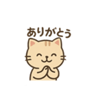 猫ちゃん言葉入りスタンプ（個別スタンプ：3）