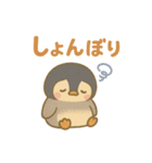 はらぺこペンギン（個別スタンプ：14）