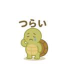 エモカメくん（エモいカメ）（個別スタンプ：20）