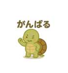 エモカメくん（エモいカメ）（個別スタンプ：24）