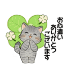 笑顔を運ぶ猫たち ♡ 気持ち伝わる長文（個別スタンプ：11）