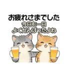 笑顔を運ぶ猫たち ♡ 気持ち伝わる長文（個別スタンプ：13）