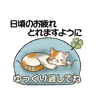 笑顔を運ぶ猫たち ♡ 気持ち伝わる長文（個別スタンプ：14）