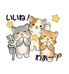 笑顔を運ぶ猫たち ♡ 気持ち伝わる長文（個別スタンプ：15）