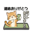 笑顔を運ぶ猫たち ♡ 気持ち伝わる長文（個別スタンプ：23）