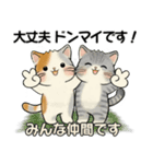笑顔を運ぶ猫たち ♡ 気持ち伝わる長文（個別スタンプ：26）