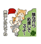 笑顔を運ぶ猫たち ♡ 気持ち伝わる長文（個別スタンプ：30）